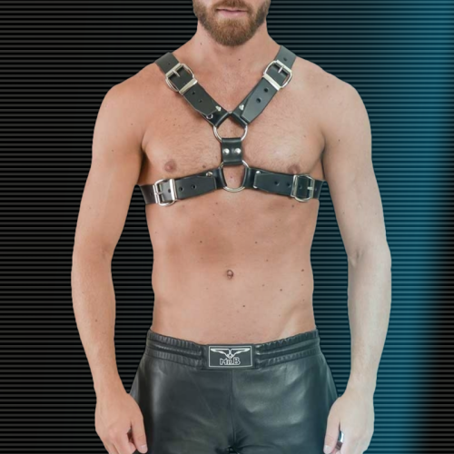 Mister B Leather Y-Front Harness